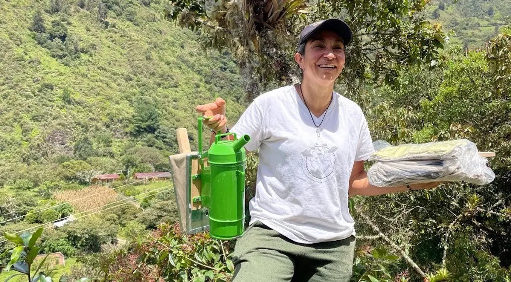 COMO-ABEJA-AL-PANAL Devoción Colombia