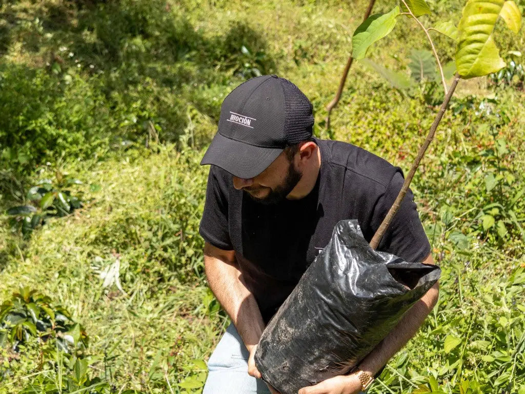 DEVOCIÓN-ES-UNA-EMPRESA-B-CERTIFICADA Devoción Colombia