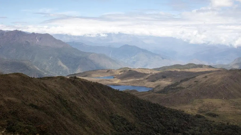 EN BÚSQUEDA DE NUEVOS CAMINOS