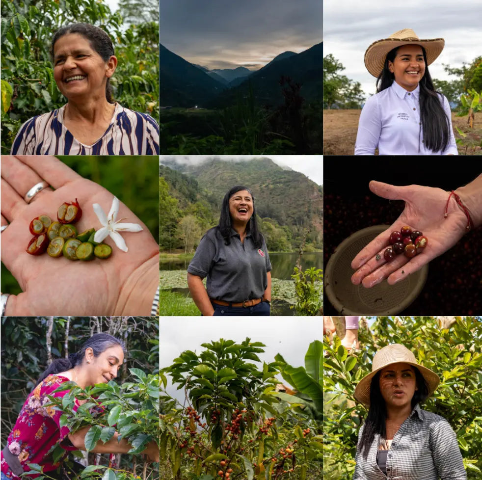 PRESENTAMOS-NUESTRO-FONDO-CAFÉ-DE-LA-MUJER Devoción Colombia