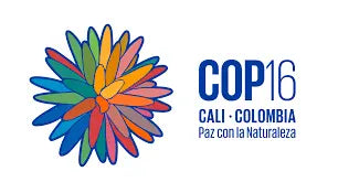 UNA-TAZA-DE-CAFÉ-PARA-CONVERSAR-SOBRE-NATURALEZA-Y-BIODIVERSIDAD-EN-LA-COP16-CAFÉ-DEVOCIÓN-EN-CALI Devoción Colombia