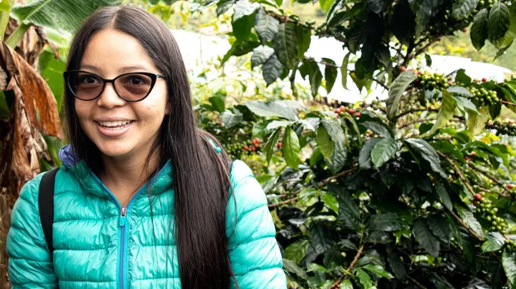 VOLANDO ENTRE CAFETALES