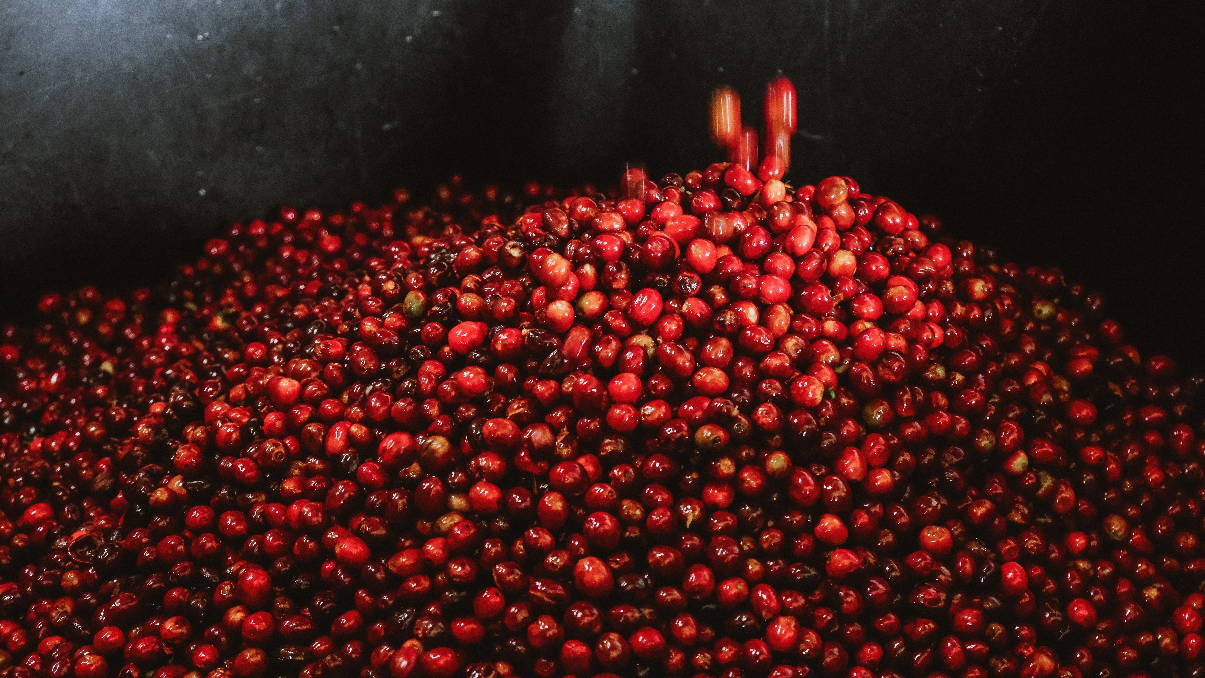 BARRIL ROJO Devoción