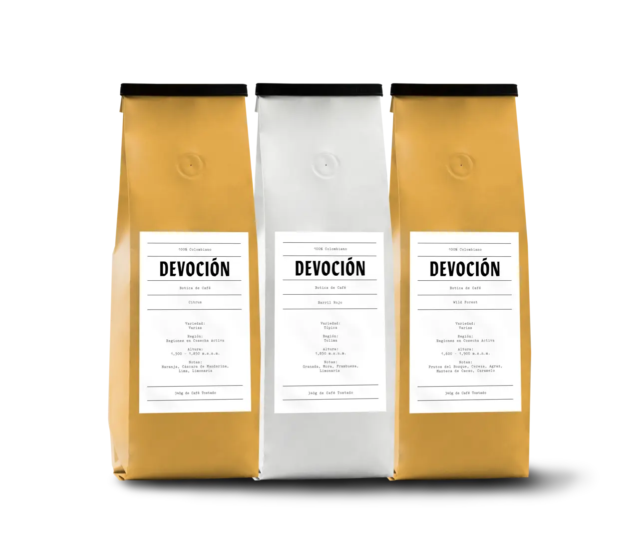 CAFÉ FILTRADO BUNDLE Devoción