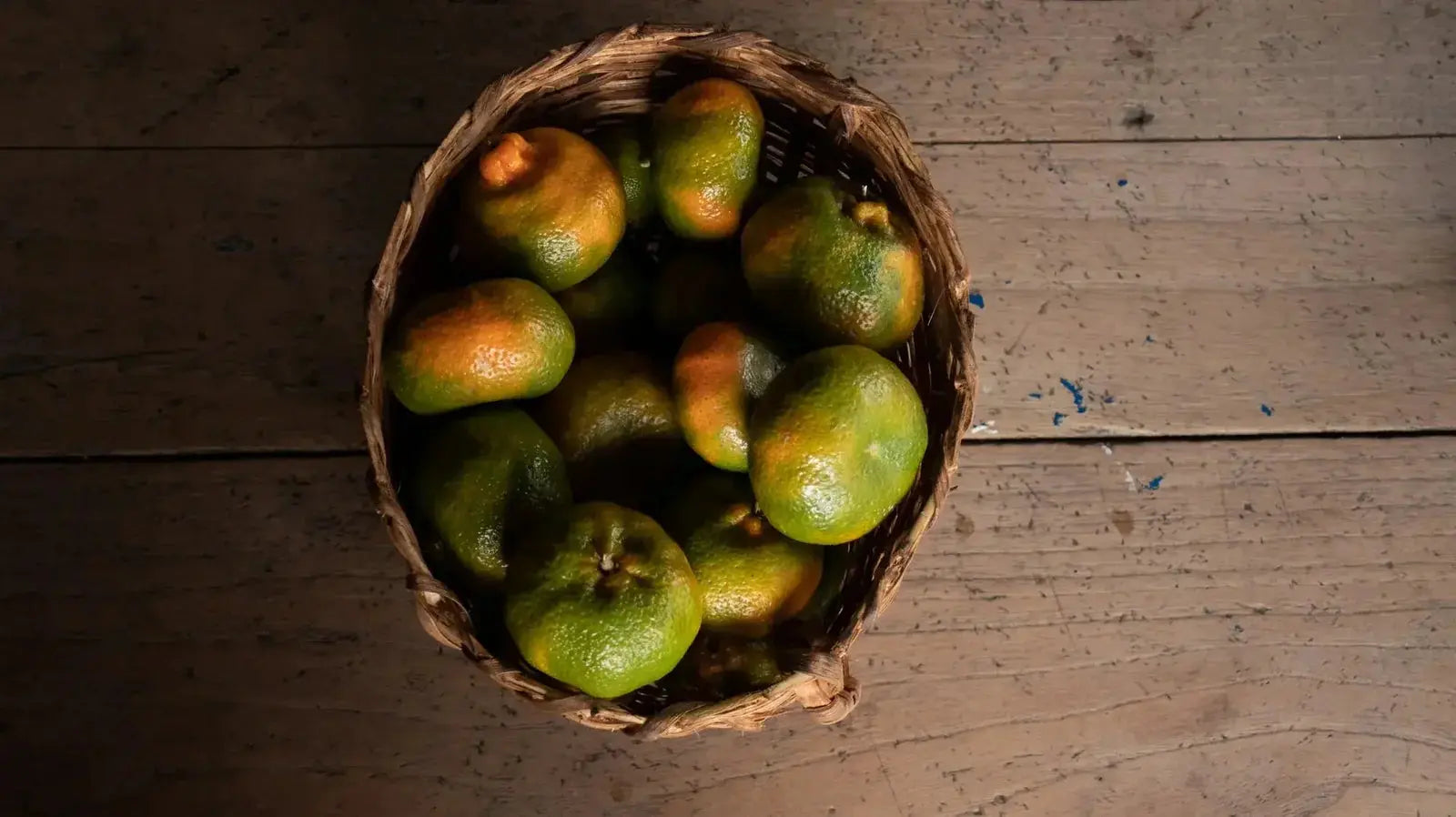 CITRUS - 2.5KG Devoción