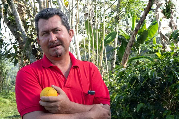 CITRUS - Devoción Colombia