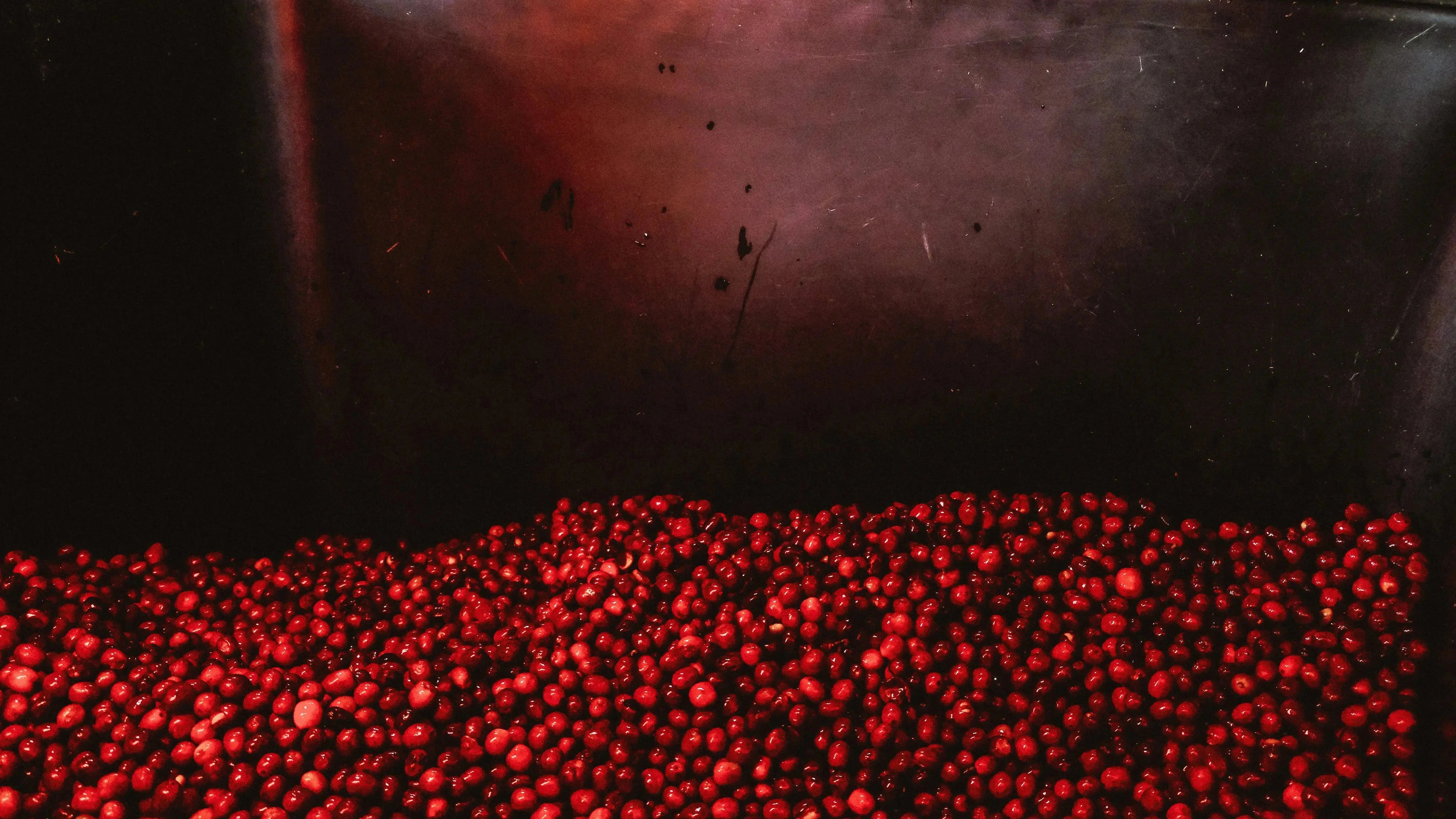 EL PARAISO LYCHEE Devoción