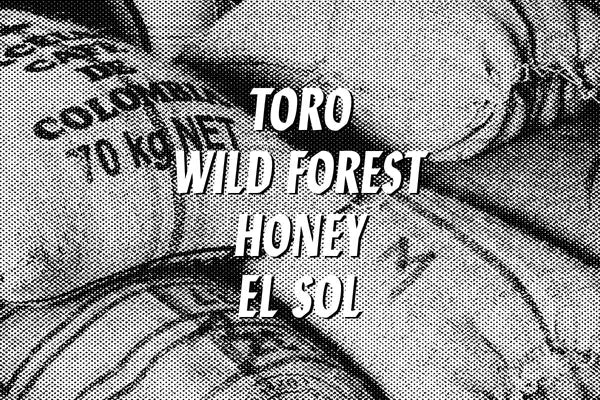 HOUSE BLEND SAMPLER Devoción