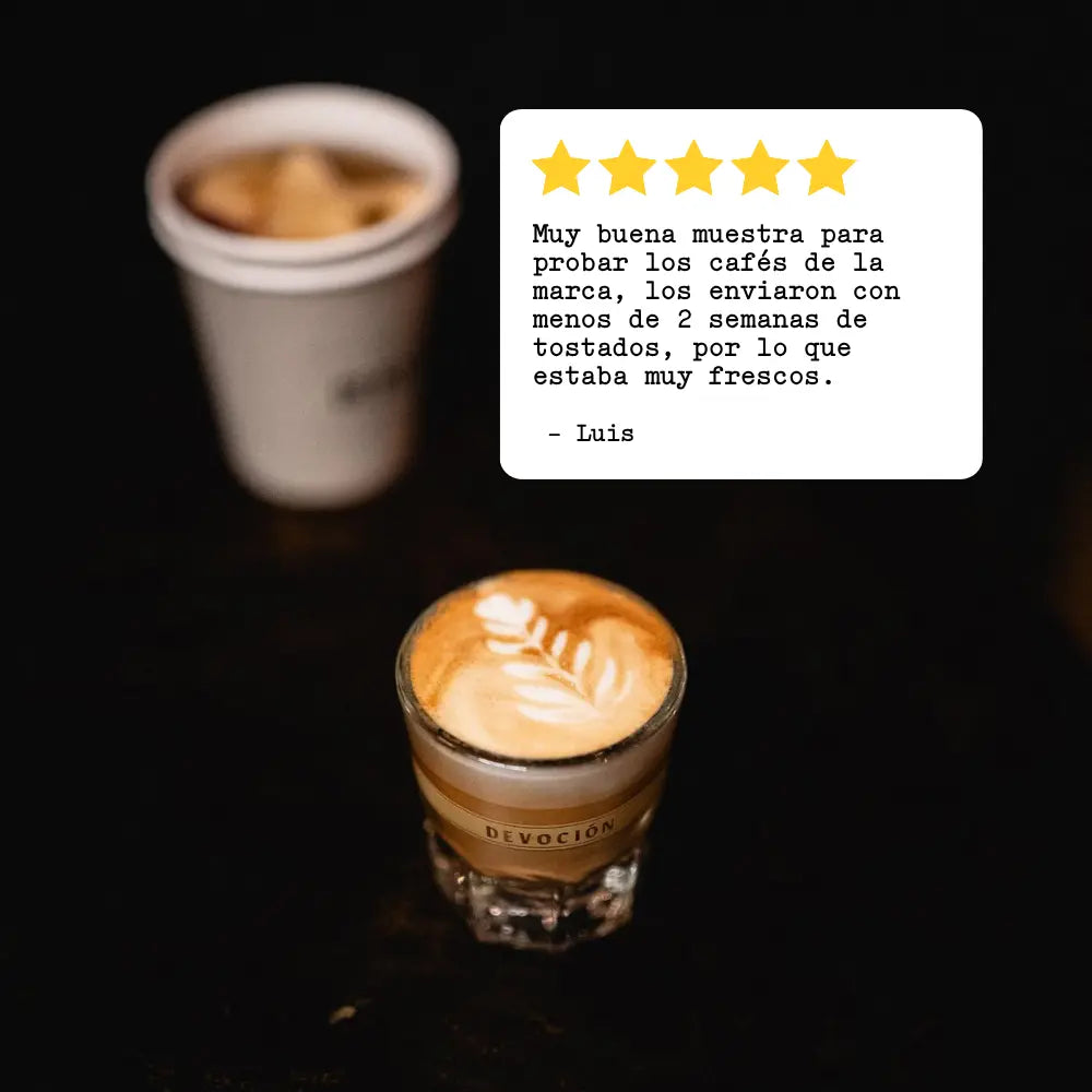 HOUSE BLEND SAMPLER Devoción