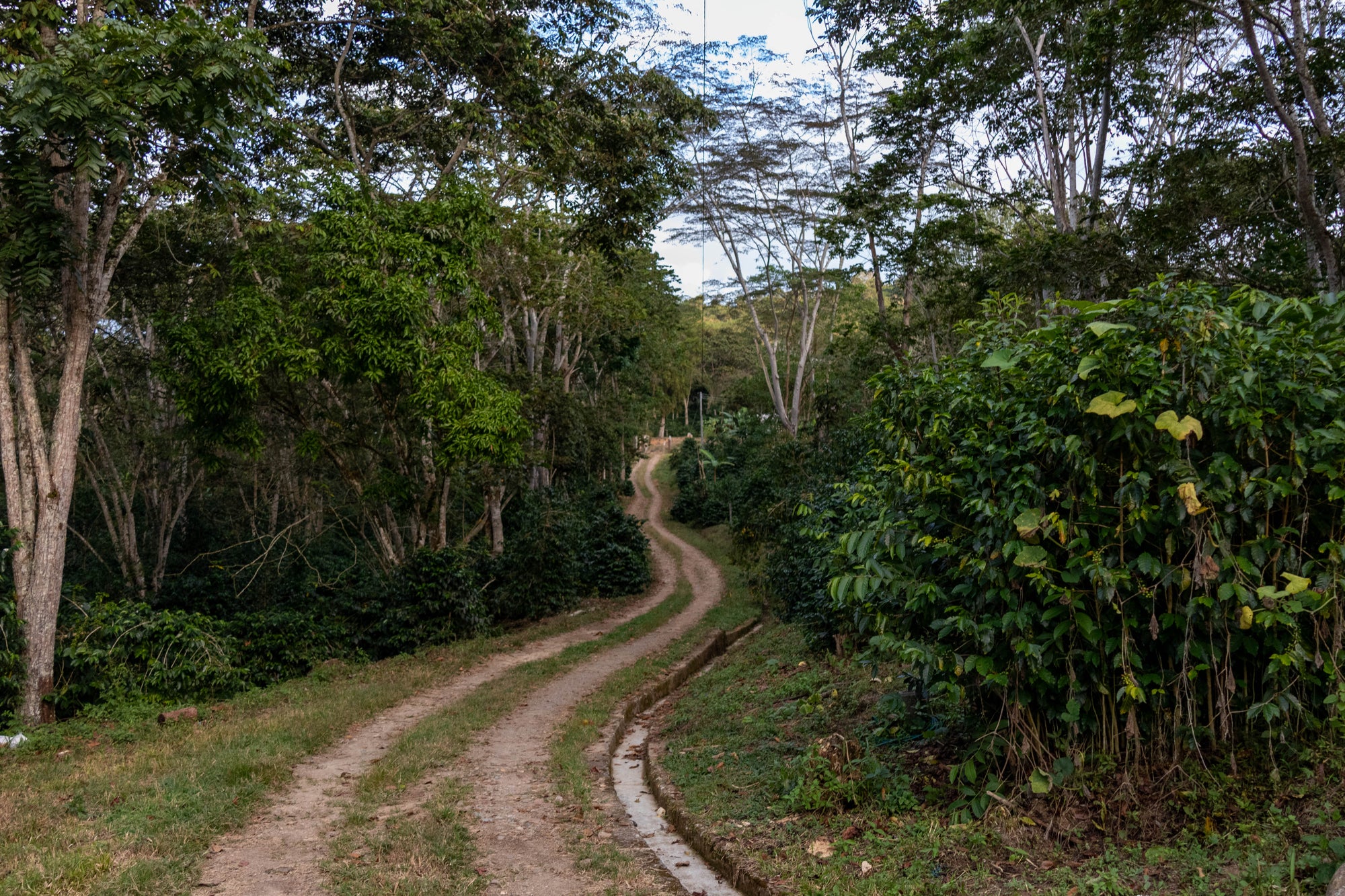 VILLA PASTORA NATURAL