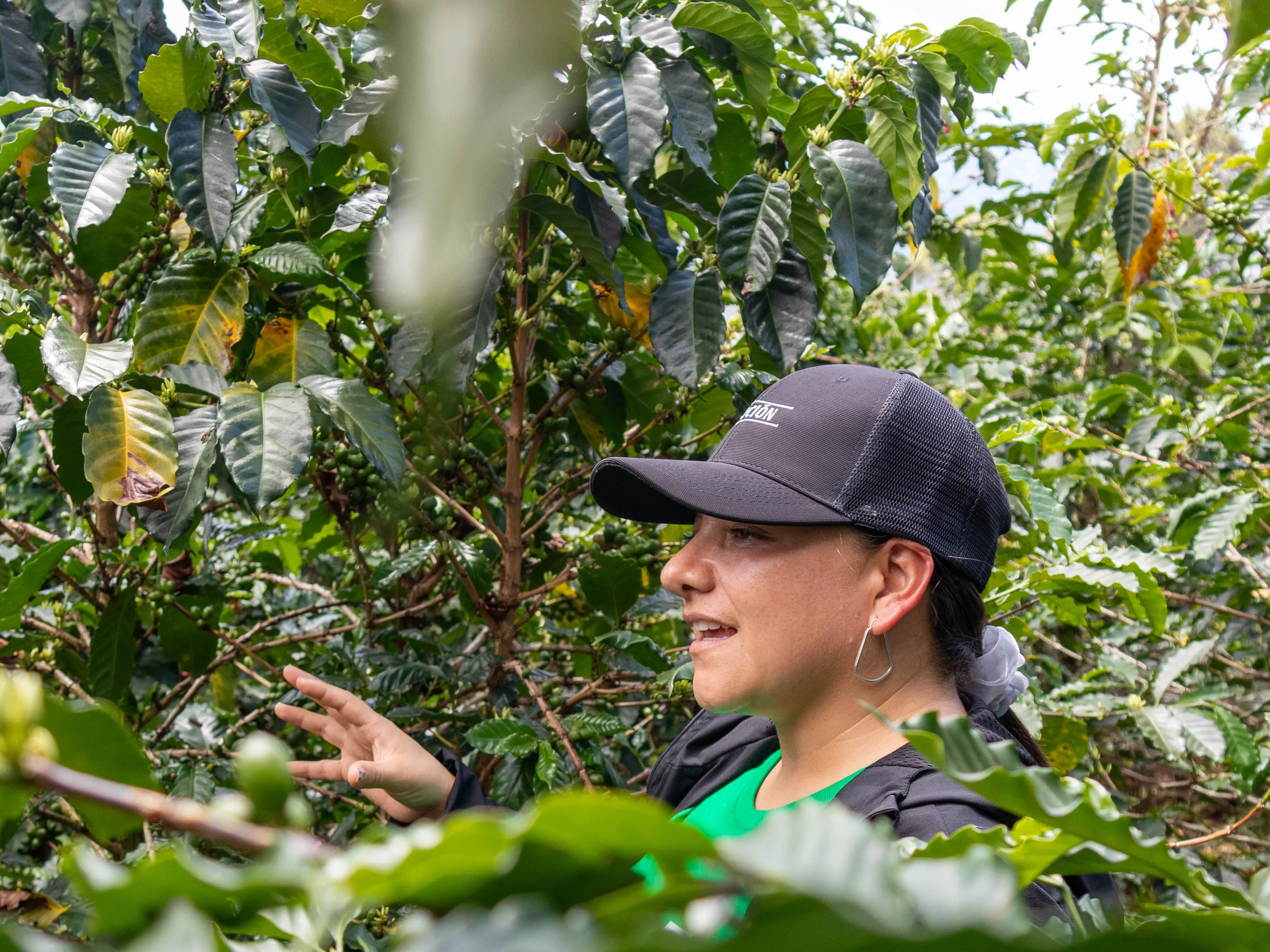 LA DIVINA - CAFÉ DE LA MUJER Devoción