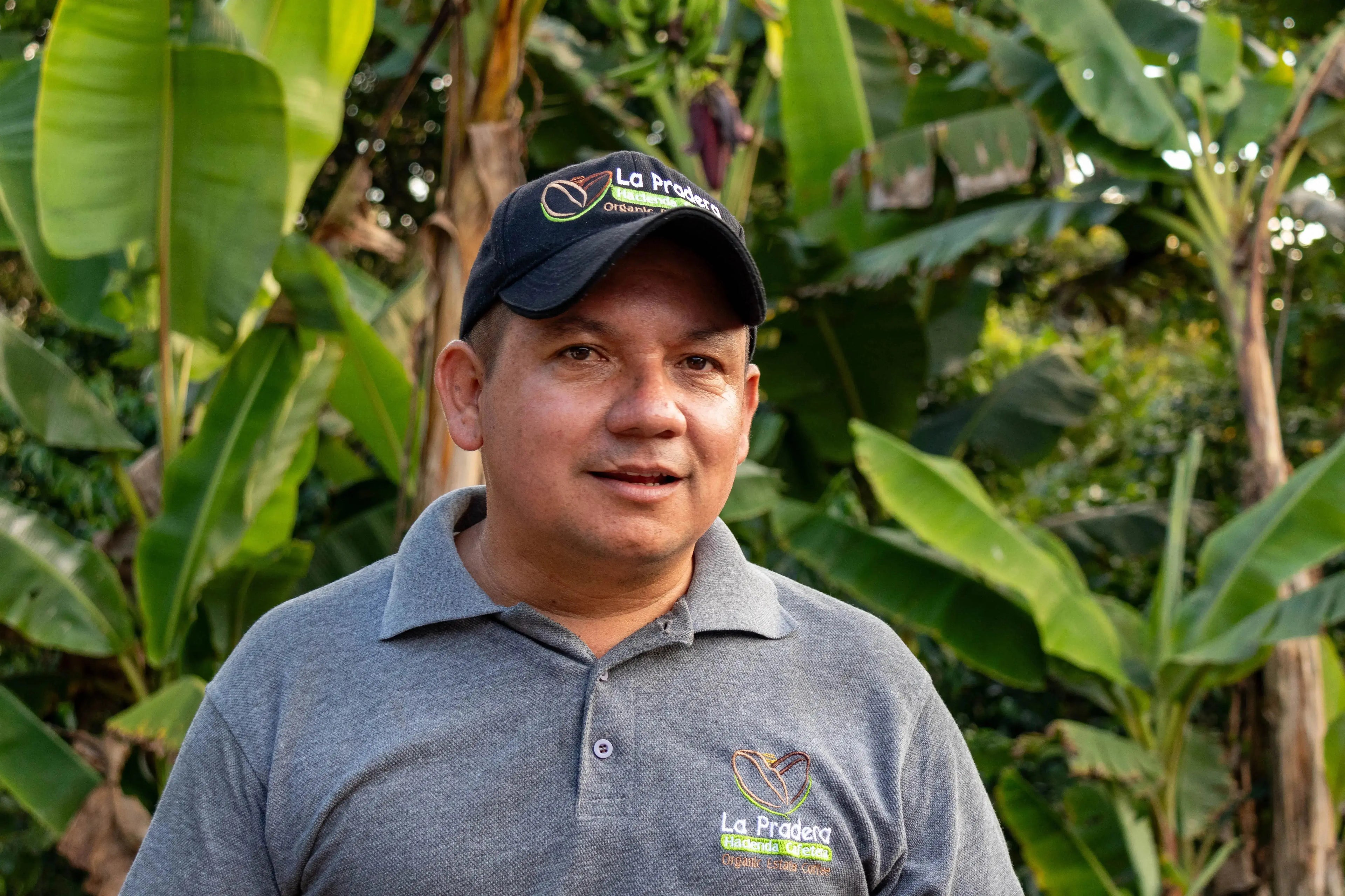 LA PRADERA NATURAL - CAFÉ DE LAS AVES - Devoción Colombia