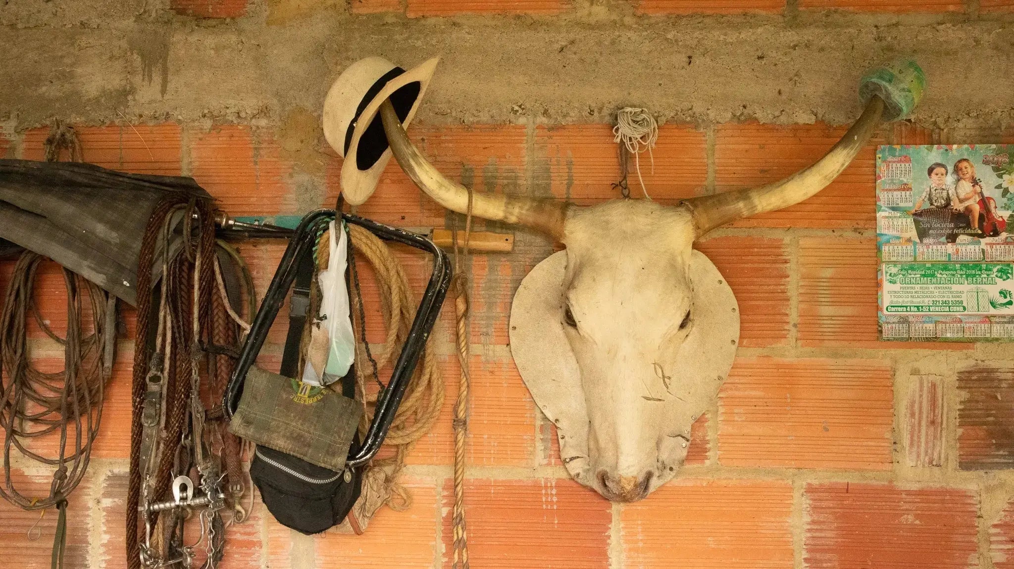 TORO - Devoción Colombia