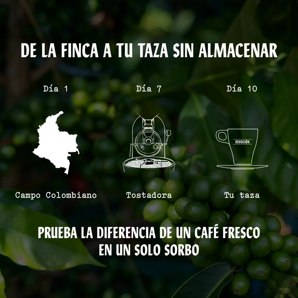 TORO Devoción