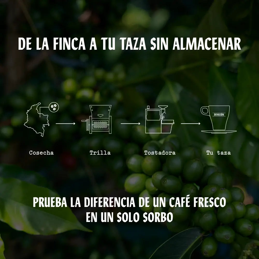 TORO Devoción
