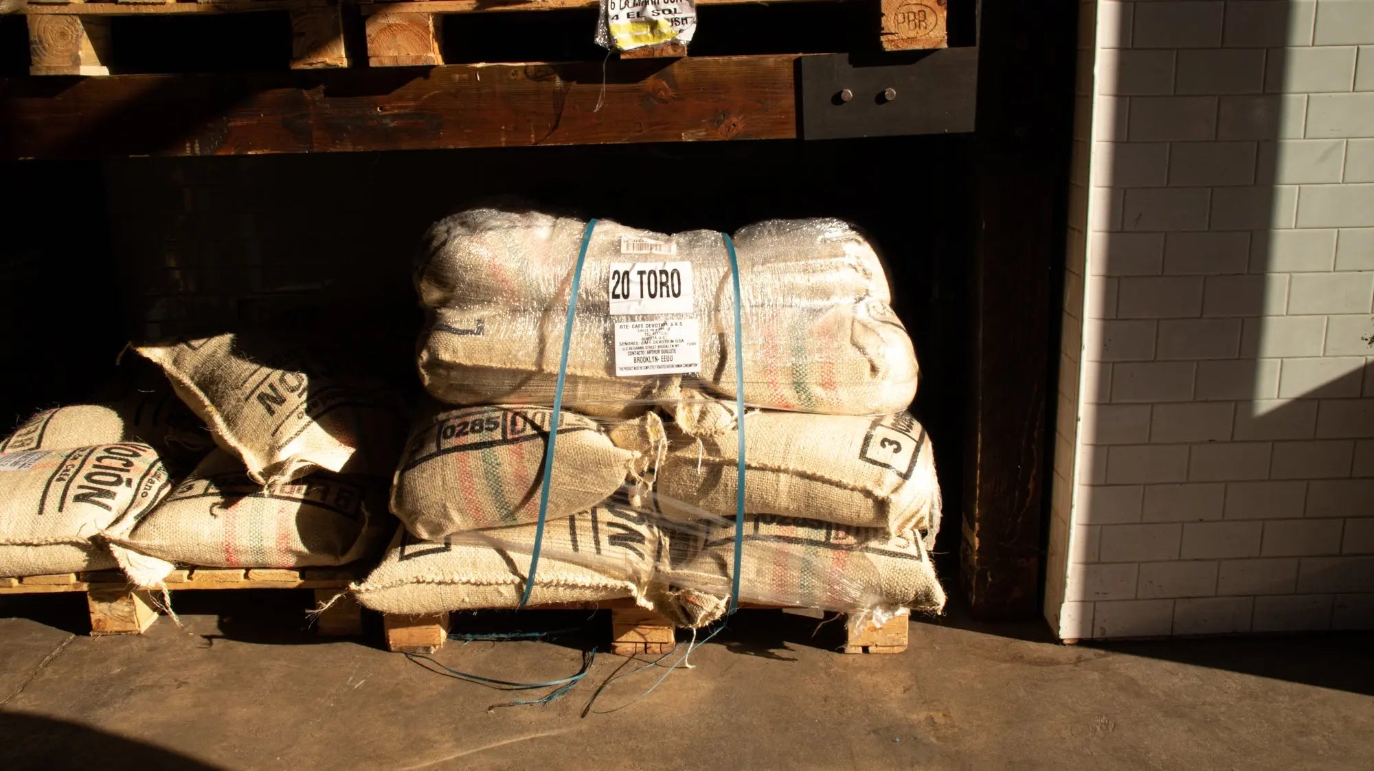 TORO - Devoción Colombia