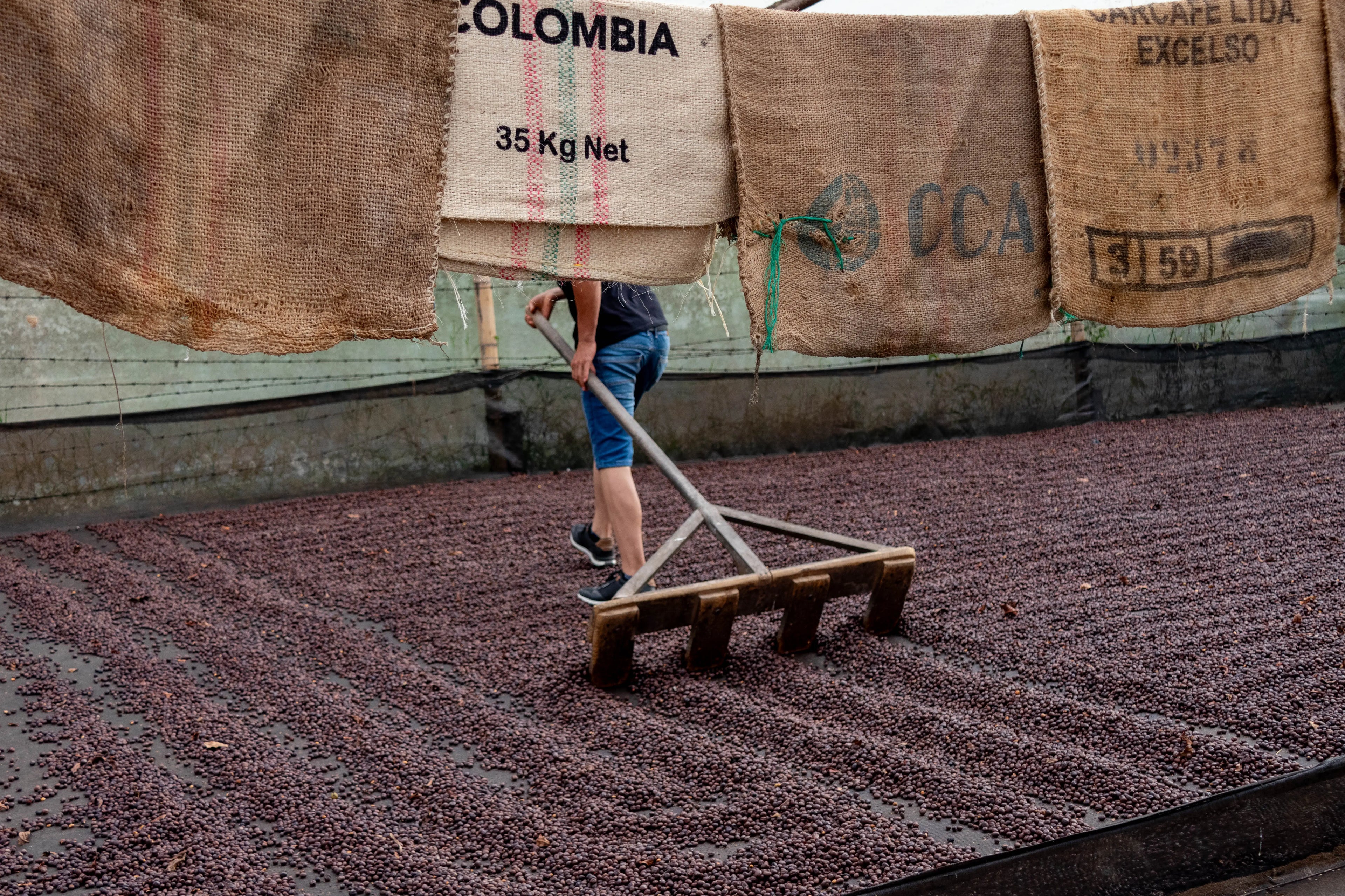 VILLA PASTORA NATURAL - Devoción Colombia