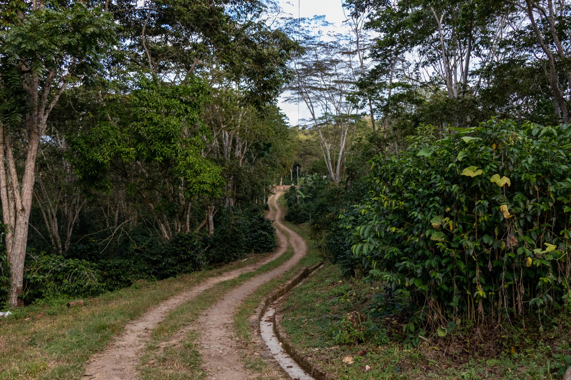 VILLA PASTORA NATURAL - Devoción Colombia