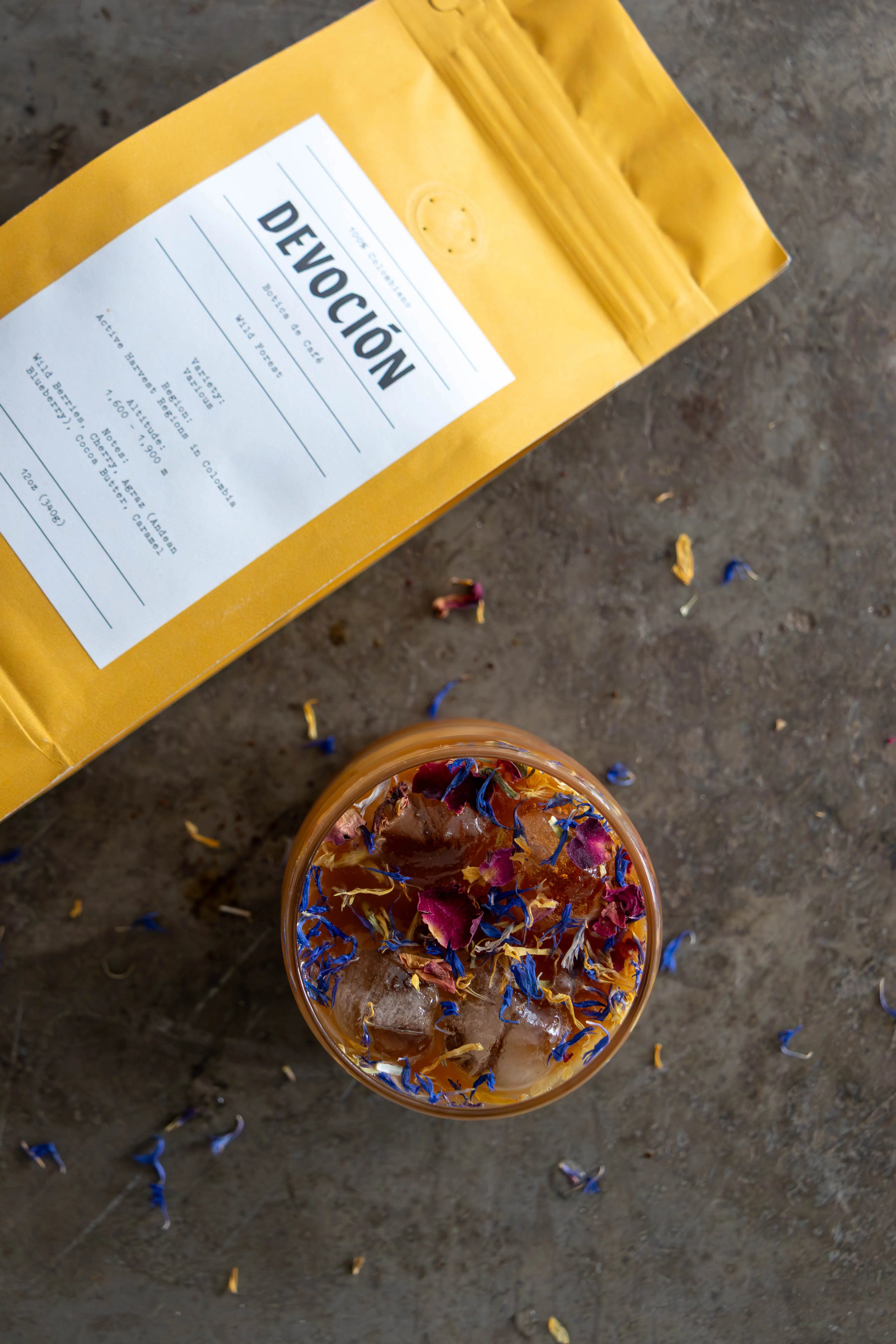 WILD FOREST Devoción