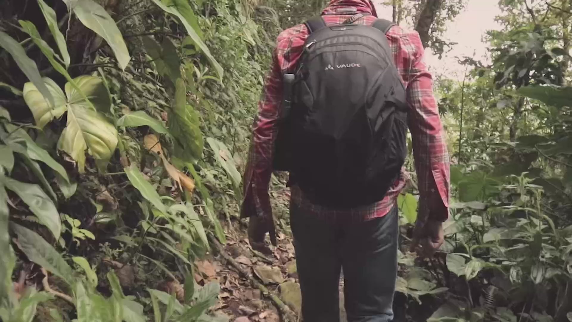 Una nota del fundador de Devoción